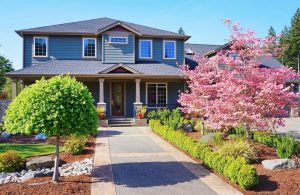 what-buyers-want